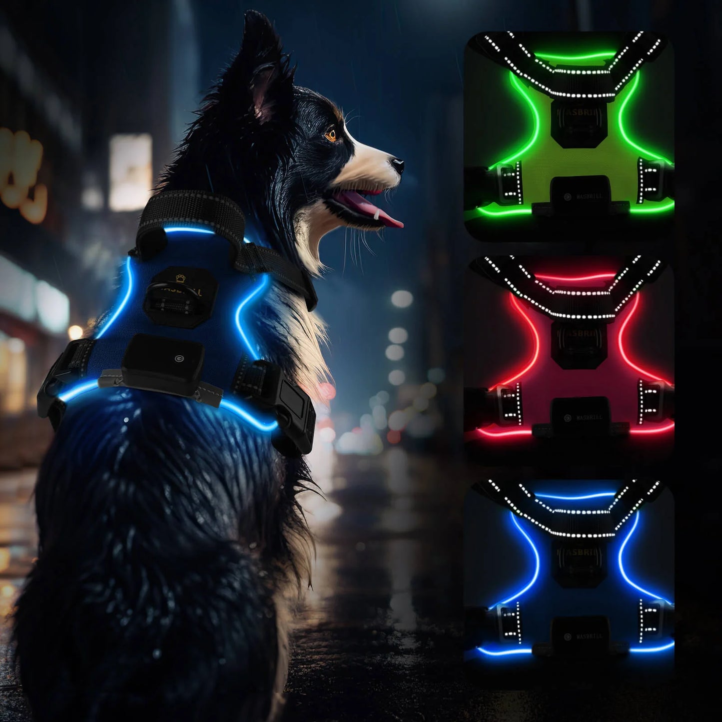 Stylish Iluminated Dog Lead